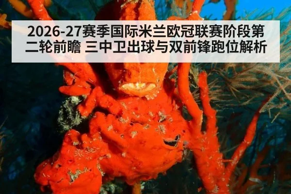 2026-27赛季国际米兰欧冠联赛阶段第二轮前瞻 三中卫出球与双前锋跑位解析