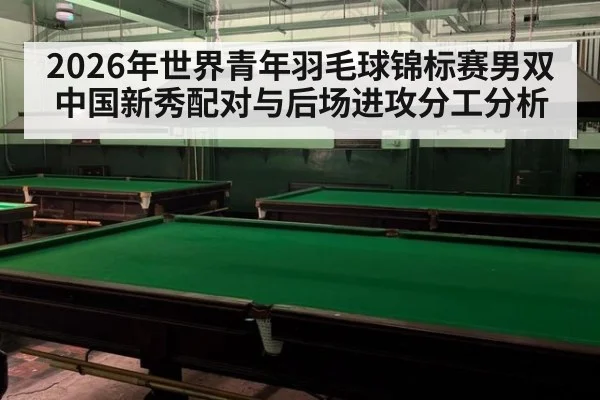 2026年世界青年羽毛球锦标赛男双 中国新秀配对与后场进攻分工分析